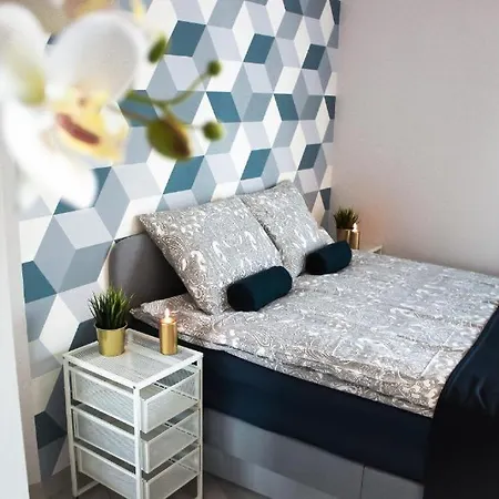 Comfortable And Spacious Apartment- Dmowskiego Street Apartment *