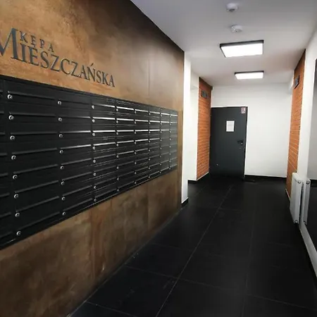 Apartment Comfortable And Spacious Apartment- Dmowskiego Street *