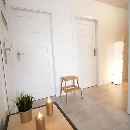 Comfortable And Spacious Apartment- Dmowskiego Street דירה *